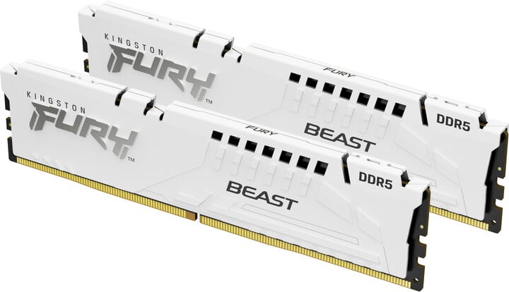 Module të memories Kingston Fury Beast White 32GB (2x16GB) DDR5 5600 CL40