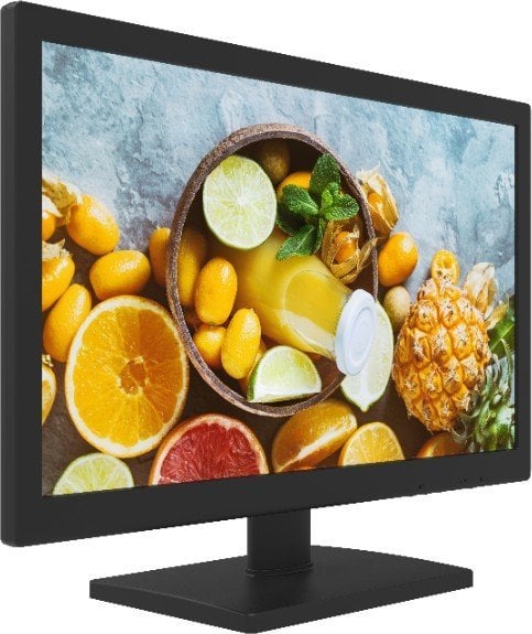 Monitor Hikvision DS-D5019QE, 19", LED, i zi