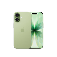 Apple iPhone 17, 256GB, Sage