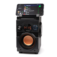 Altoparlant Squeak Bassblaster, Bluetooth 5.1, i zi