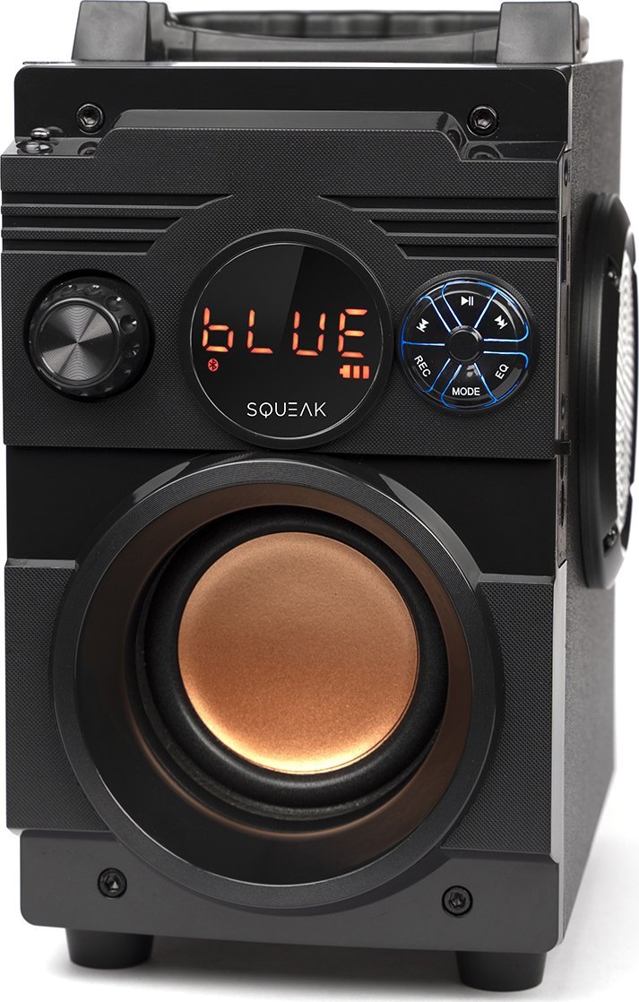 Bluetooth звучник Squeak BassBlaster SQ1001, мултифункционален, со FM радио, црн