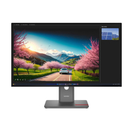 Monitor Lenovo ThinkVision P32UD-40, 32", 4K 120Hz, IPS, i zi