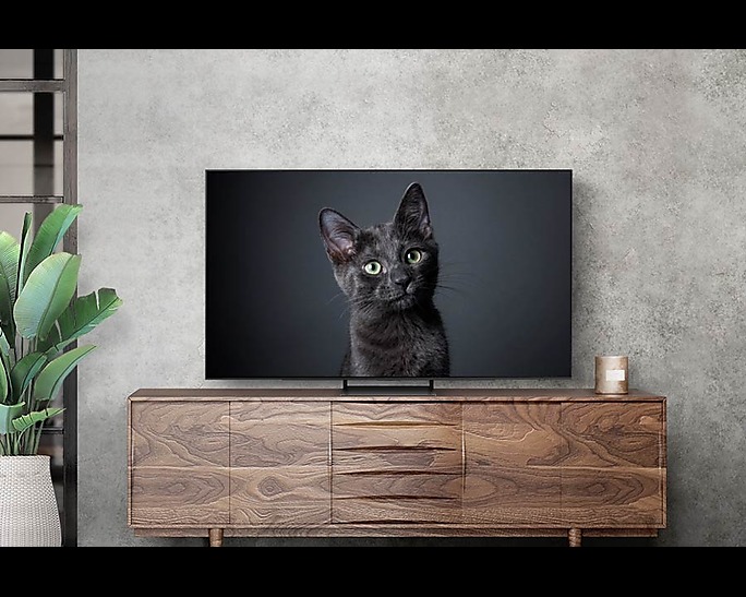 Televizor Samsung QE55S90CATXXH, 55", OLED, 4K, Smart, Tizen