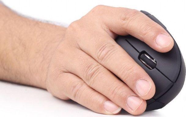 Maus Gembird MUSW-ERGO-01, wireless, USB, i zi