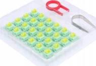 Switche mekanike Redragon A113 QT Bullet, 3 pin, set 24 copë, transparente