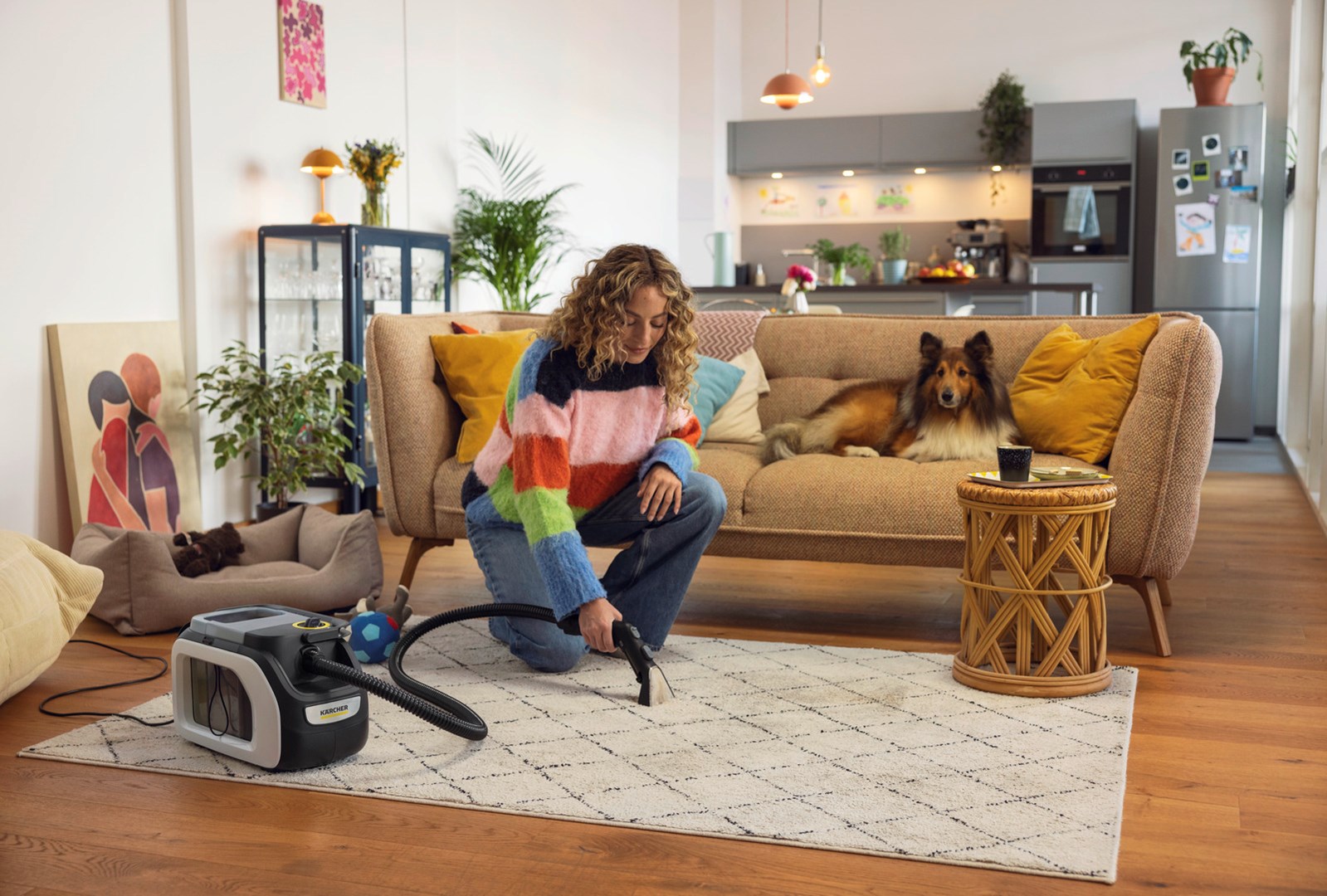 Fshesë me ujë Karcher SE 3 Compact Home, pastrim i lagësht, me kabllo, e bardhë