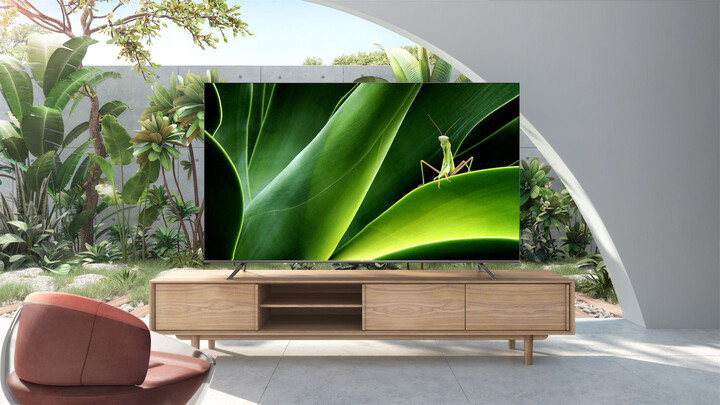 Televizor TCL 75P735, 75" (189cm), 4K UHD, i zi