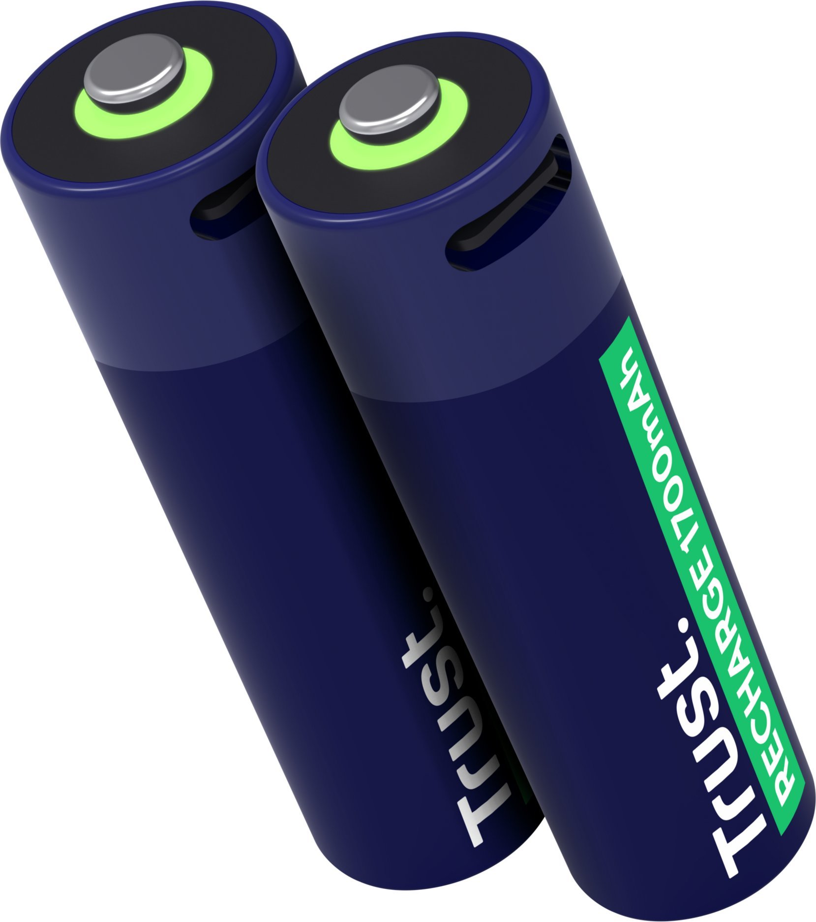 Bateri rikarikuese Trust 25584 AA, USB C, set, gri