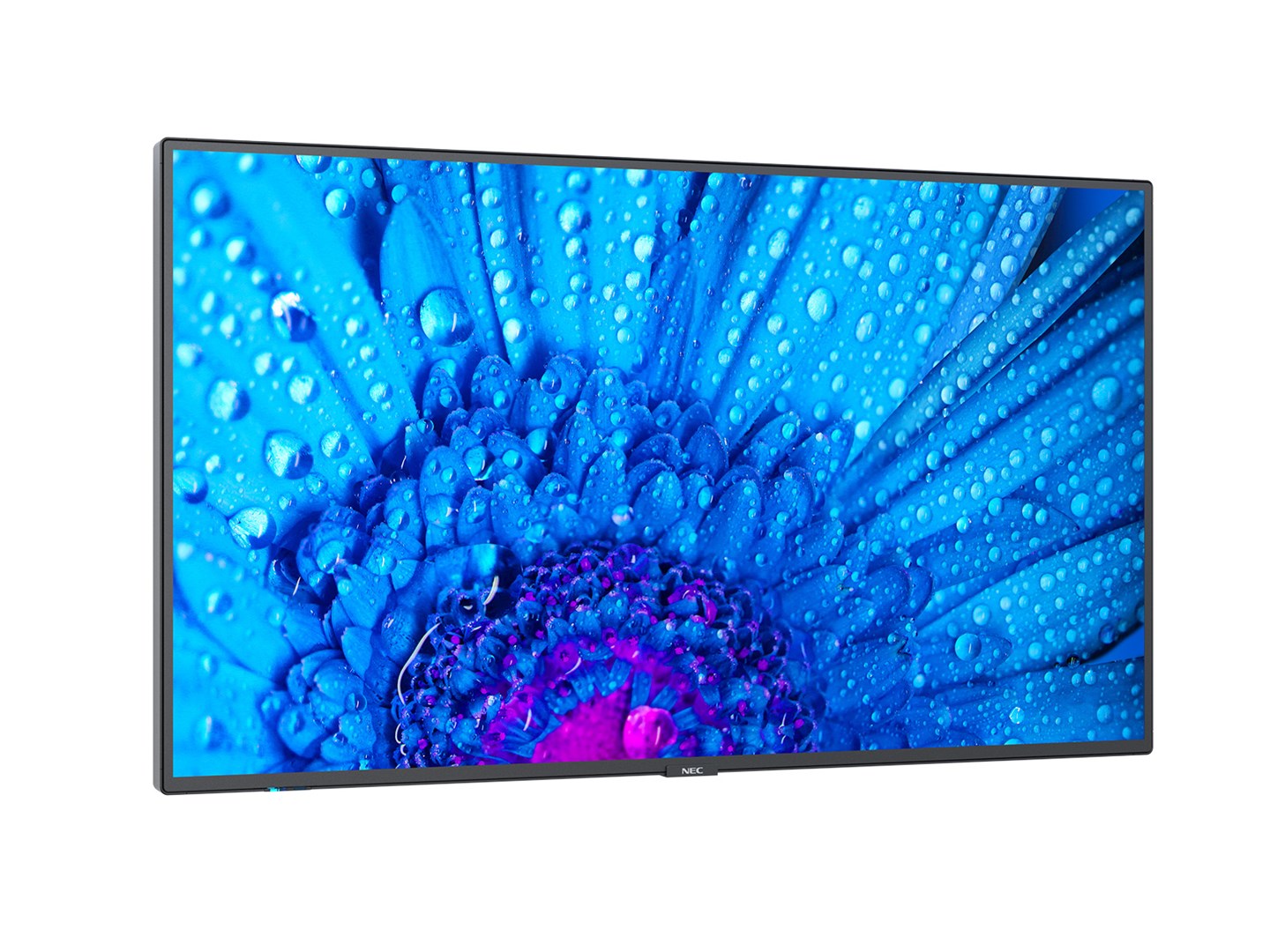 Monitor NEC MultiSync M651, 65", 4K Ultra HD, i zi