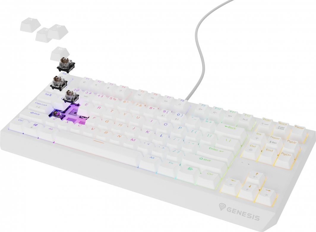 Tastierë Genesis Thor 230 TKL Outemu Brown, e bardhë