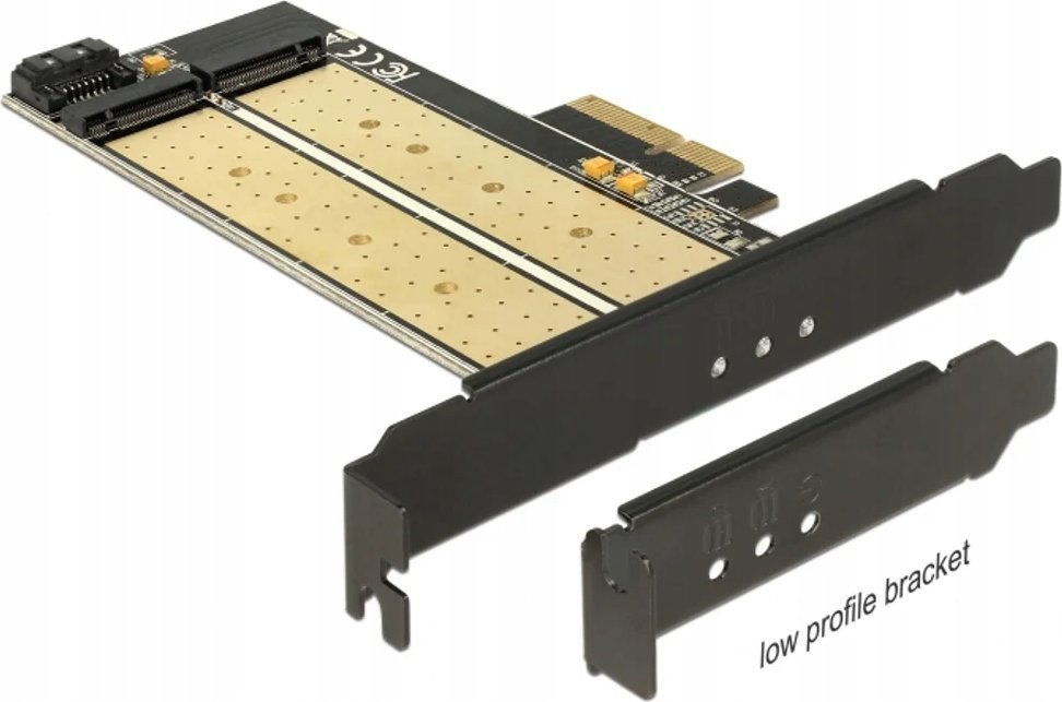 Kartë zgjeruese DeLOCK 89630, PCI Express, 2x M.2 SATA PCIe, e brendshme