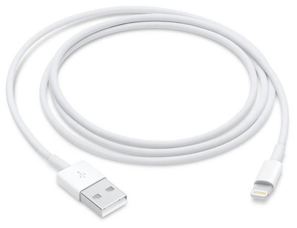 [OUTLET] Apple Lightning to USB Cable (1 m)