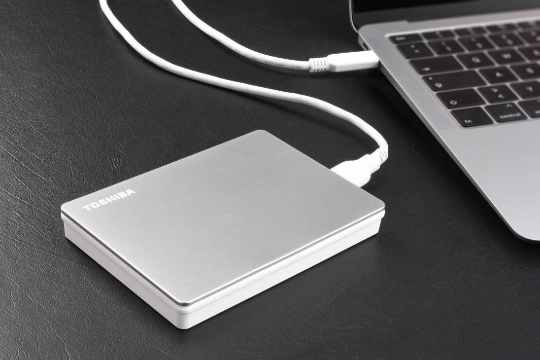 Disk i jashtëm HDD Toshiba Canvio Flex (HDTX140ESCCA), 4TB, i argjendtë