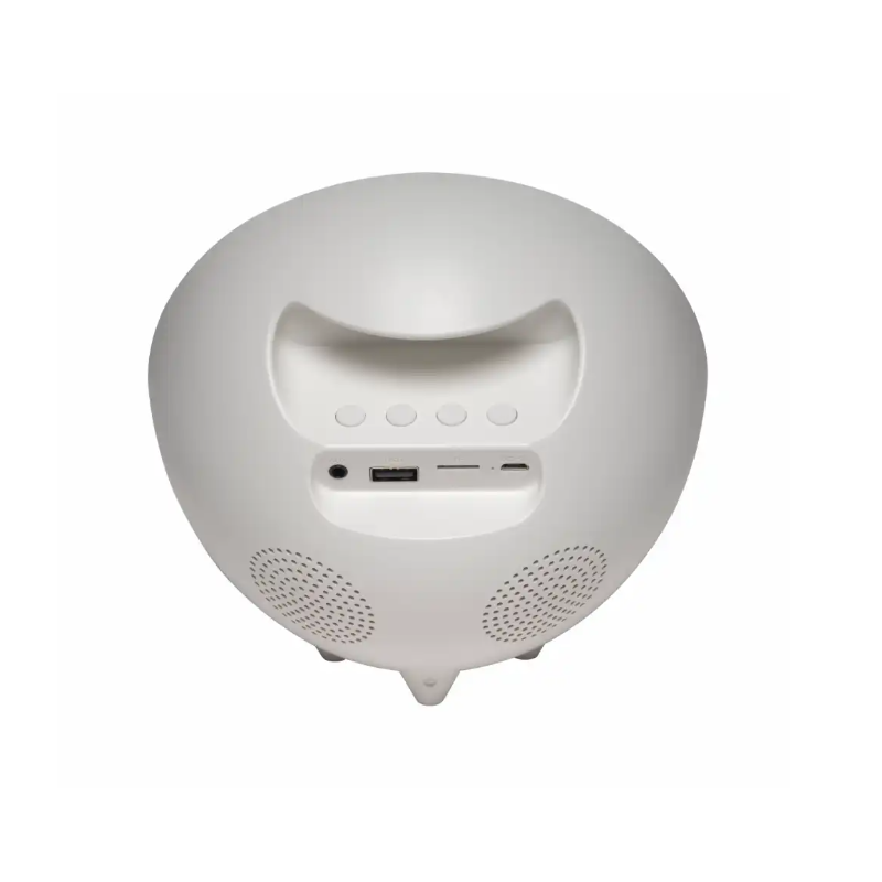 Denver Wake-Up Light Clock Radio CRLB-400