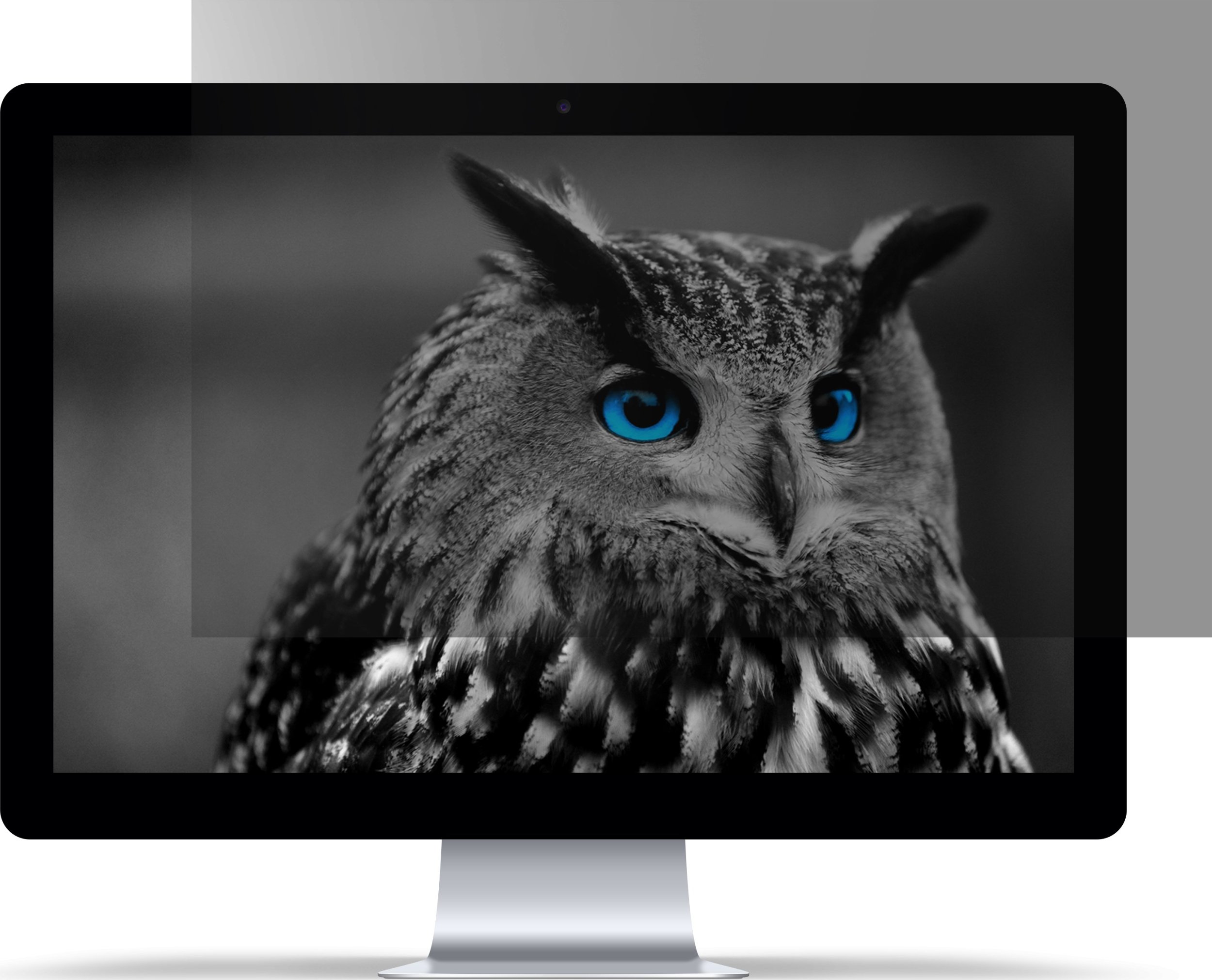 Филтер за приватност Natec OWL, 17.3\", за лаптоп, проѕирен