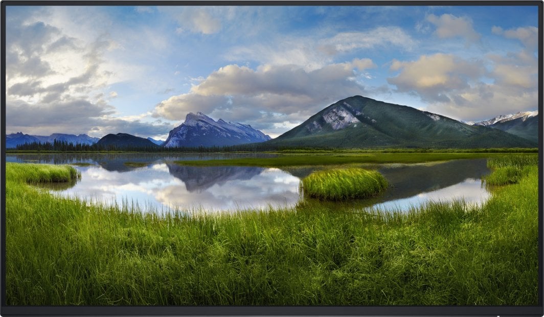 Monitor Dell P2425HE, 23.8", Full HD, i zi (pa bazë)