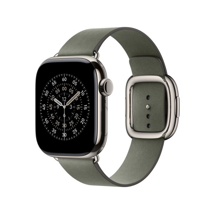 Apple Watch 42mm Modern Buckle, Sage Gray Modern Buckle, Medium 2