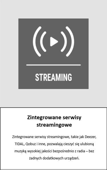 Radio interneti Telestar TOP 300 Wood, DAB+, CD, Bluetooth, blu