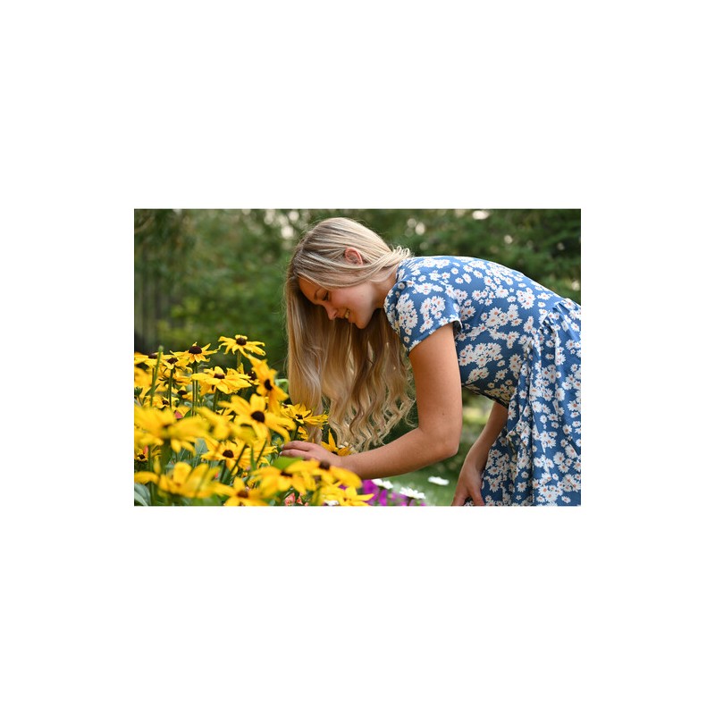 NIKKOR Z 24-120mm f/4 S