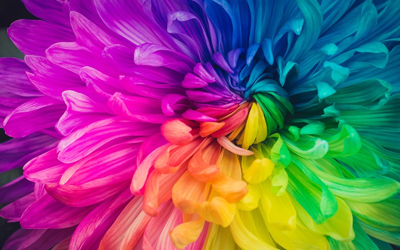 Projektor Epson EF-11, Full HD, 1000 lumens, 3LCD, i zi