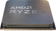 Processor Tray AMD Ryzen 5 5500 / 3.6 GHz
