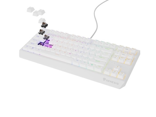 Tastierë Genesis Thor 230 TKL RGB Outemu Brown, e bardhë
