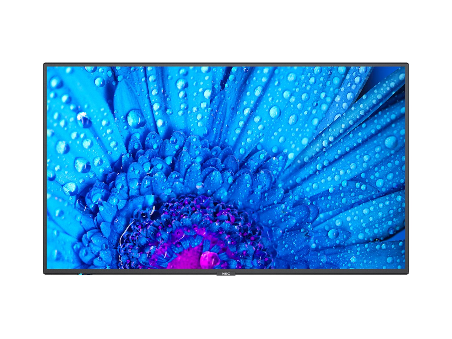 Monitor NEC MultiSync M651, 65", 4K Ultra HD, i zi
