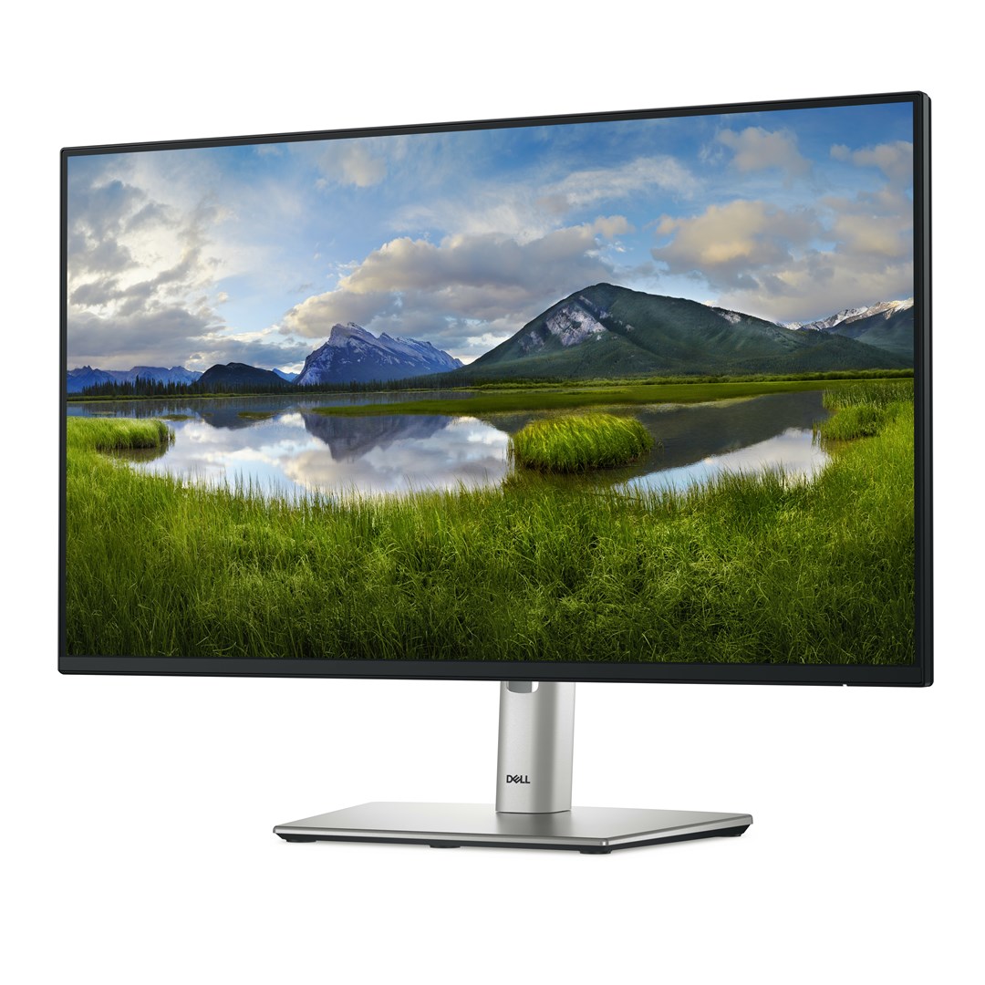 Monitor DELL P2425H, 23.8”, IPS, 100Hz, i zi
