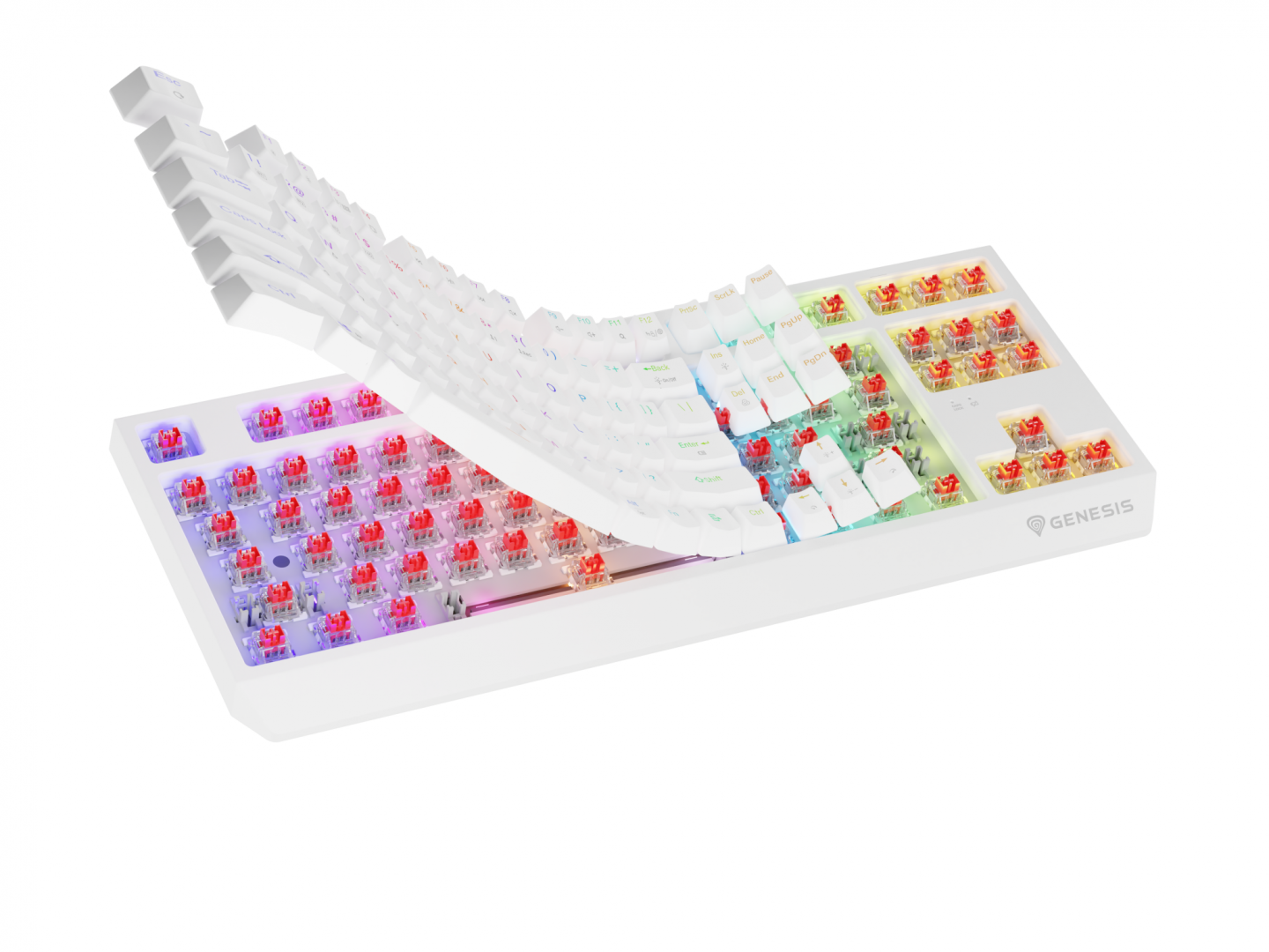 Tastierë wireless mekanike Genesis Thor 230 TKL, RGB, Outemu Red, e bardhë