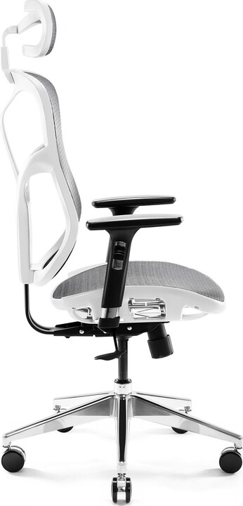 Karrigë Diablo V-Basic, e hirtë