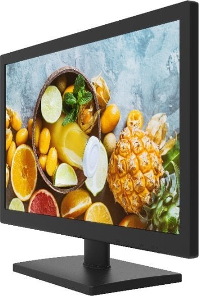 Monitor Hikvision DS-D5019QE, 19", LED, i zi