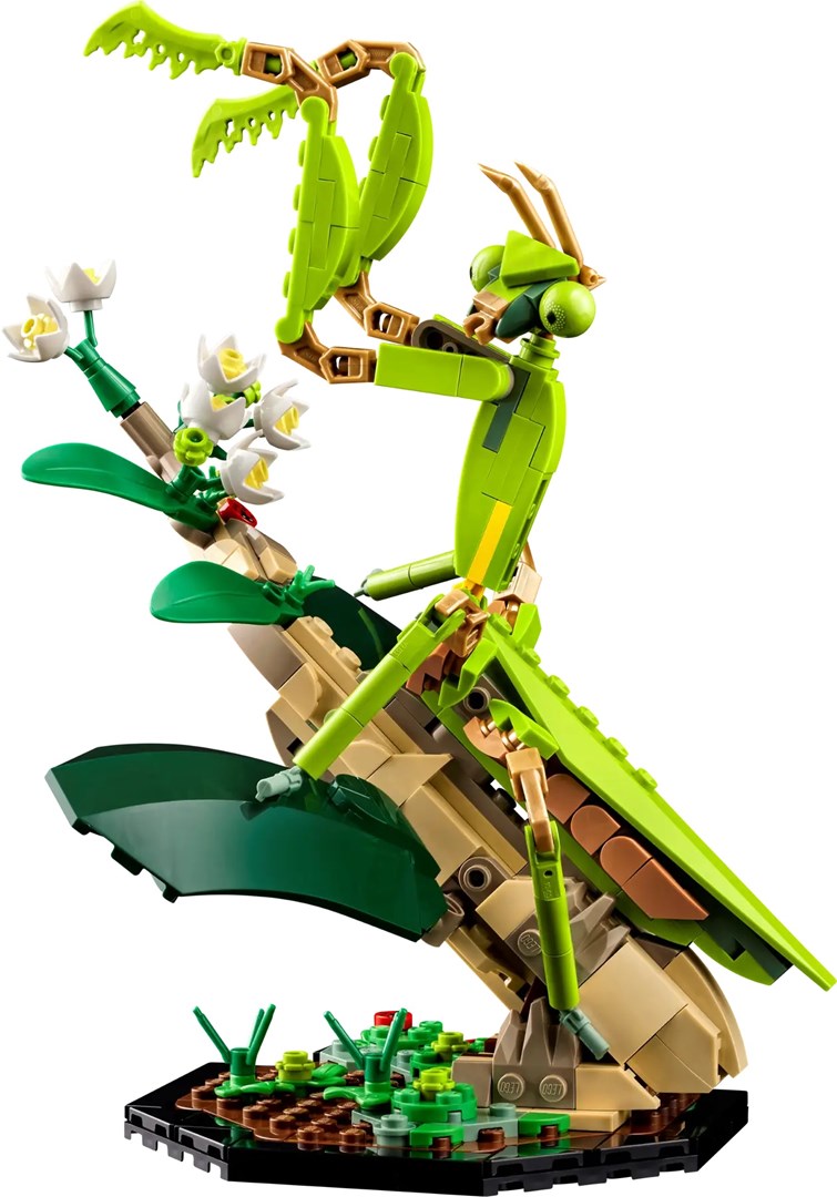 Set LEGO Ideas Insect Collection 21342, modele dekorative, për të rritur dhe fëmijë