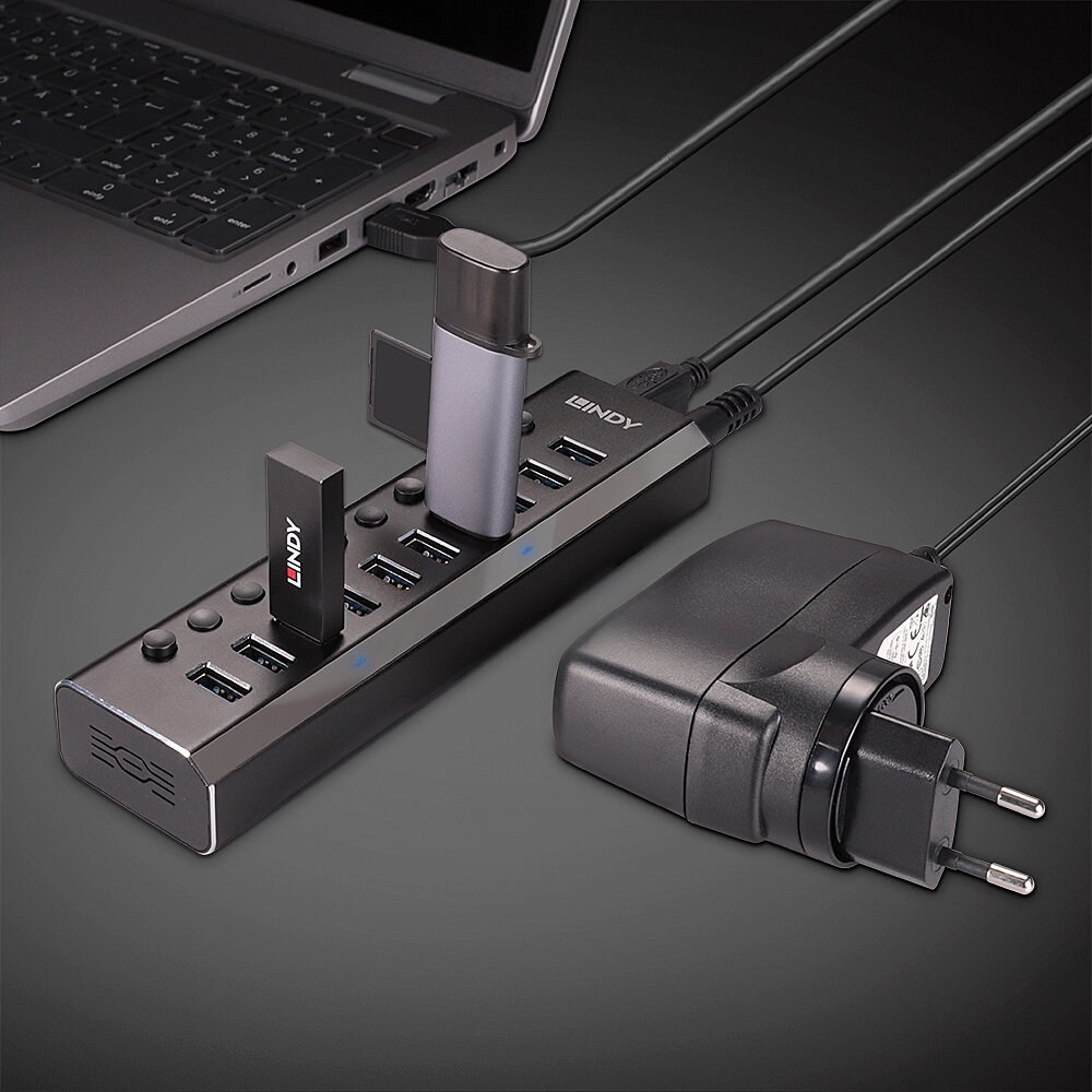 Qendër USB Lindy, 10 porte, 3.0, 5 Gb/s, e zezë