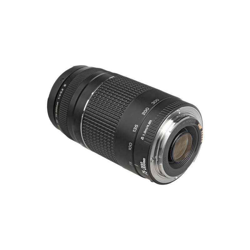 Canon EF 75-300mm f/4-5.6 III