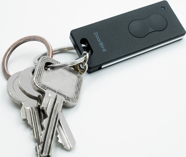 Telekomandë Bluetooth DoorBird 423873216, key fob programues, kompakt, gri