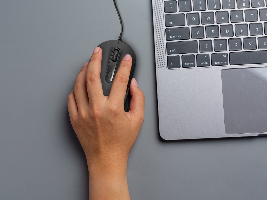 Maus ZOY ZMS08, i zi