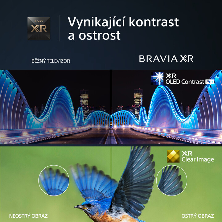 Televizor Sony Bravia XR-65A80L, 65" (165cm), i zi