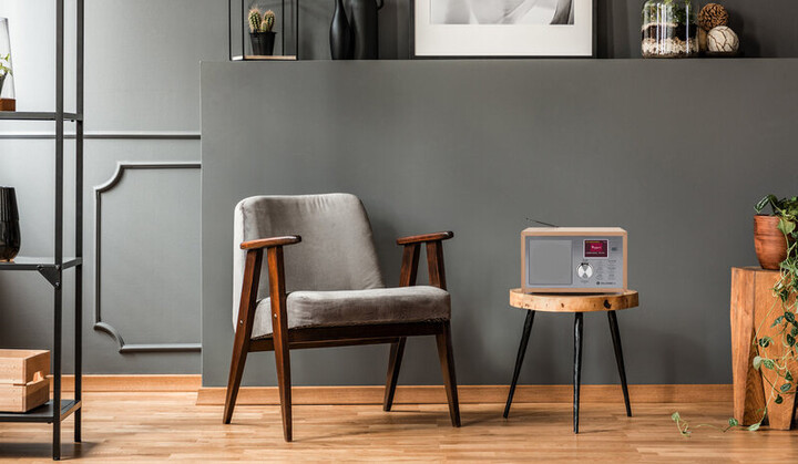 Radio GoGEN DAB620, e argjendtë