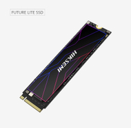 SSD M.2 HIKSEMI FUTURE Lite 1TB – NVMe PCIe 4.0 x4, deri 7000MB/s