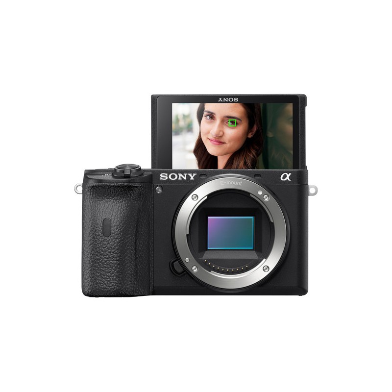 Sony a6600