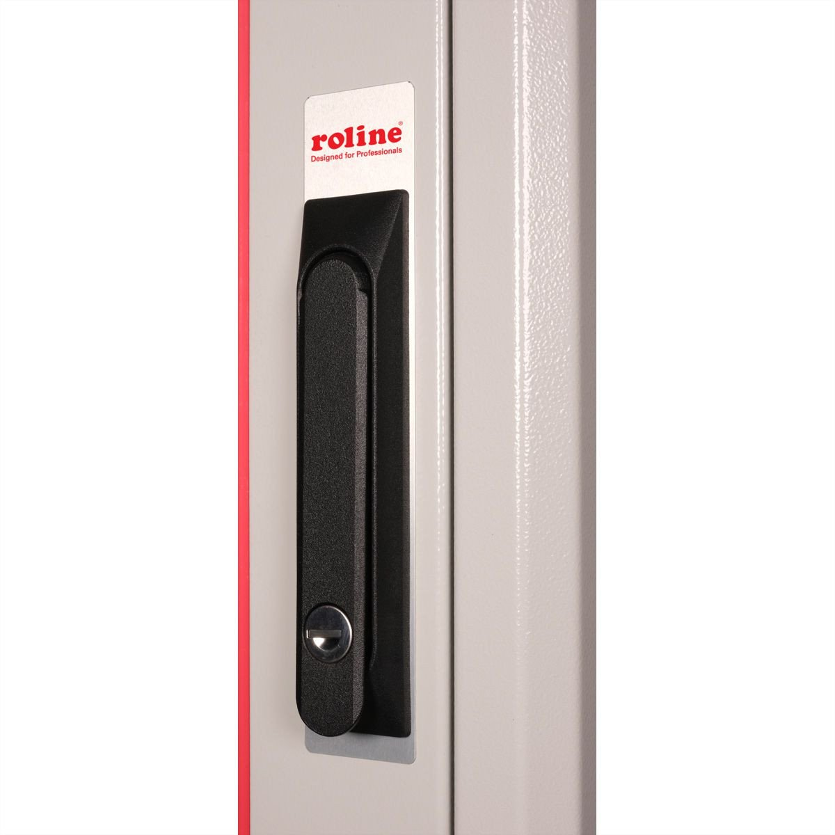 Kabinet rrjeti ROLINE Network Cabinet Basic, 19", 42U, gri
