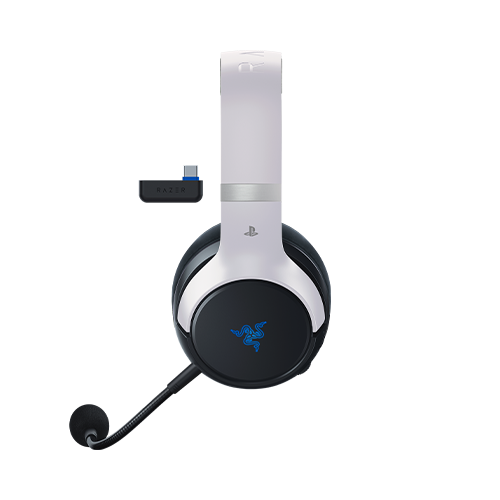 Product Picture