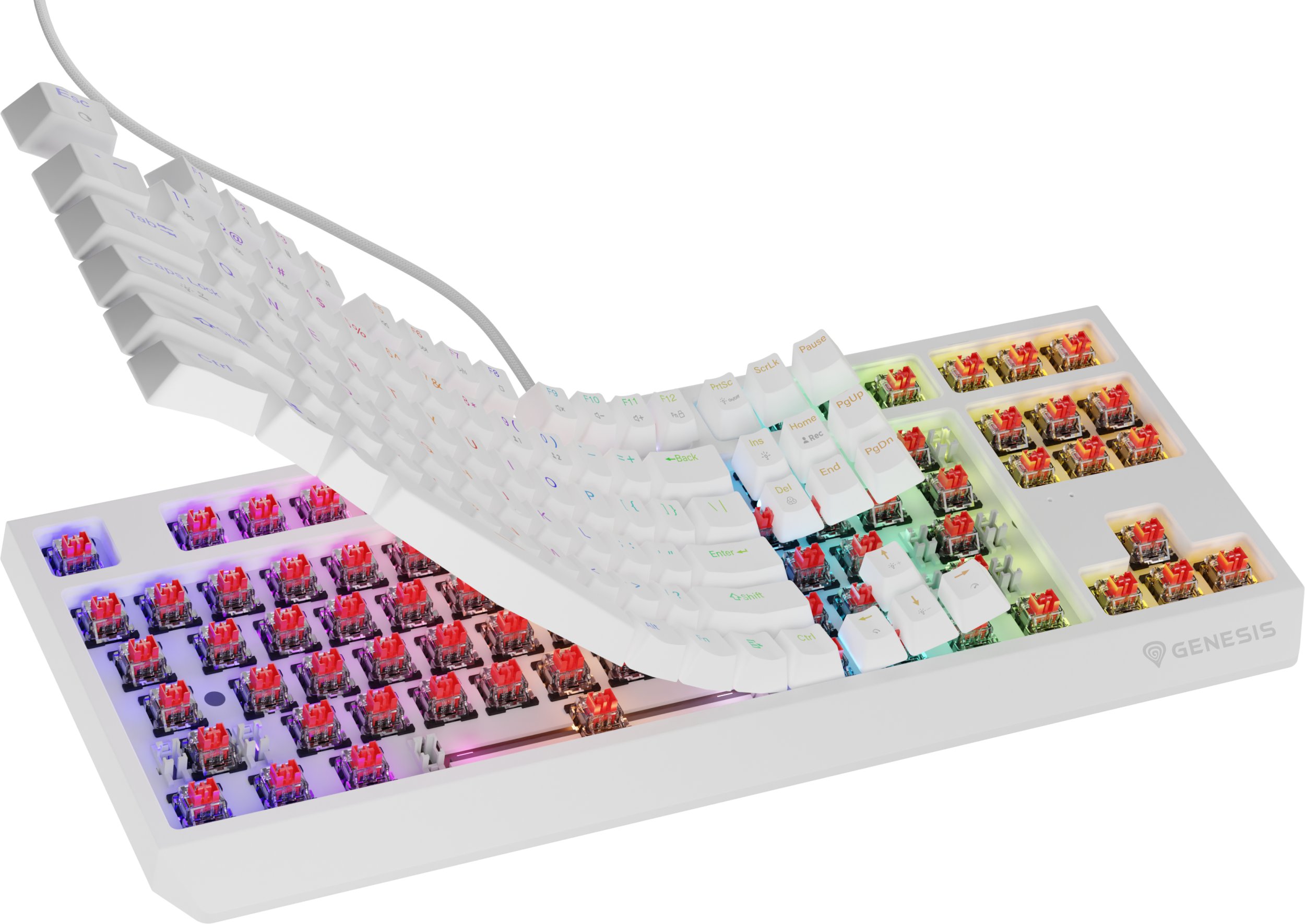 Tastierë mekanike gaming Genesis Thor 230 TKL, RGB, Hot Swap, e bardhë
