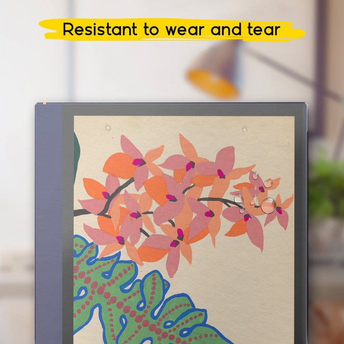 Folie mbrojtëse Doodroo DDBOOXNA103 Aria 2, për Onyx BOOX Note Air, transparente