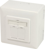 Kuti prize rrjeti LogiLink NP0124 CAT 6A, 2 porta RJ45, STP, e bardhë