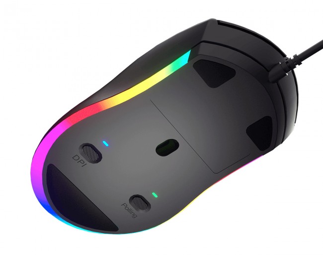 Maus Cougar Minos XT, i zi