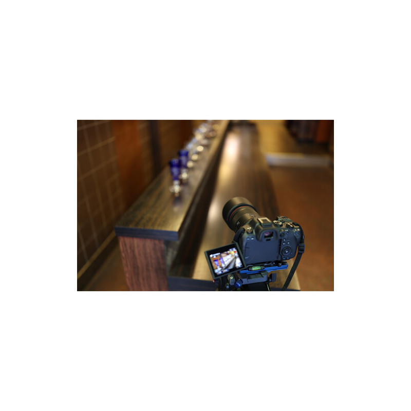 Canon RF 50mm f/1.4 L VCM