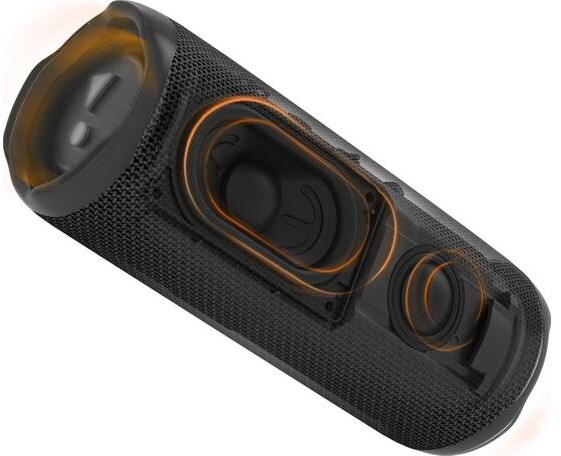 Altoparlant JBL Flip6, i zi