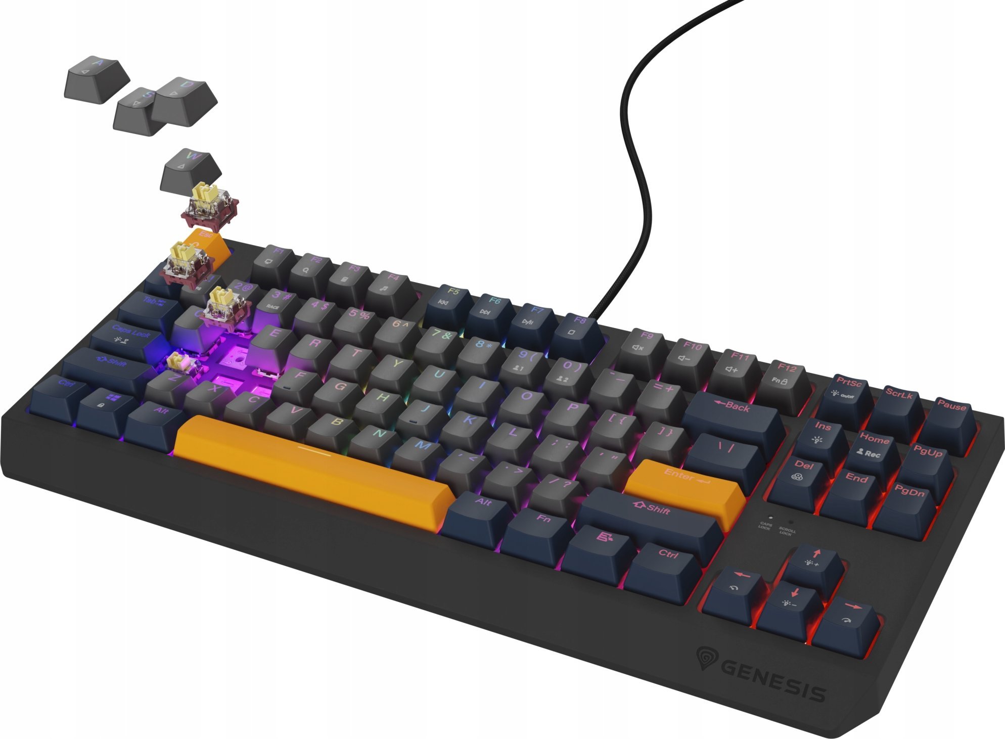 Tastierë mekanike gaming Genesis Thor 230 TKL, RGB, Outemu Panda Naval Blue, me kabllo USB 3