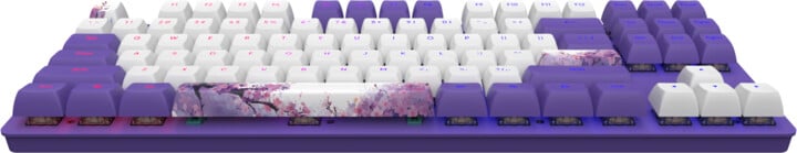 Tastierë Dark Project 87 Violet Horizons, Dark Project G3MS, Violet Horizons, US